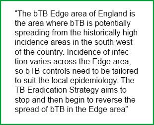 Bovine TB edge description