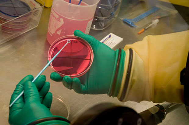 Review of APHA science 2015 – APHA Science Blog