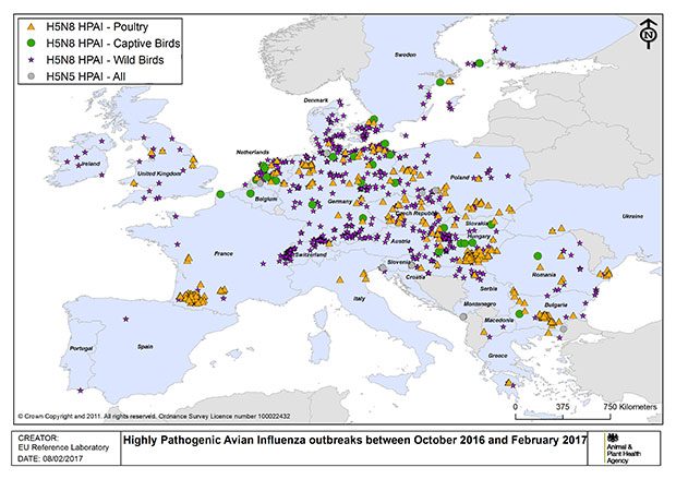 Avian influenza outbreak map