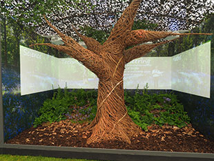 Chelsea Flower Show exhibit