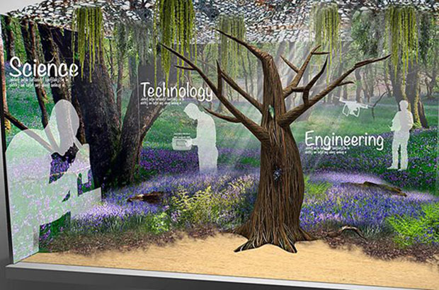 Chelsea Flower Show - STEM image