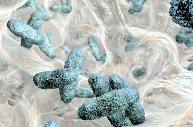 Biofilm containing bacteria Klebsiella (Photo credit: Dr-Microbe/Thinkstock)