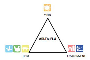 DELTA-FLU project diagram