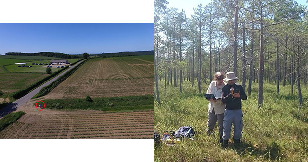 Photo of Jean McKendree in a woodland with a gentleman looking at clipboards and an image of some fields.