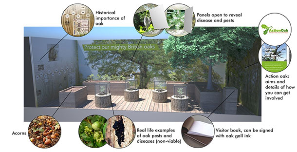 Simulated design of the garden showing: the historical importance of oak, panels open to reveal disease and pests, 'Action Oak': aims and details of how you can get involved, visitor book can be signed with oak gall ink, real life examples of oak pests and diseases (non-viable) and acorns.