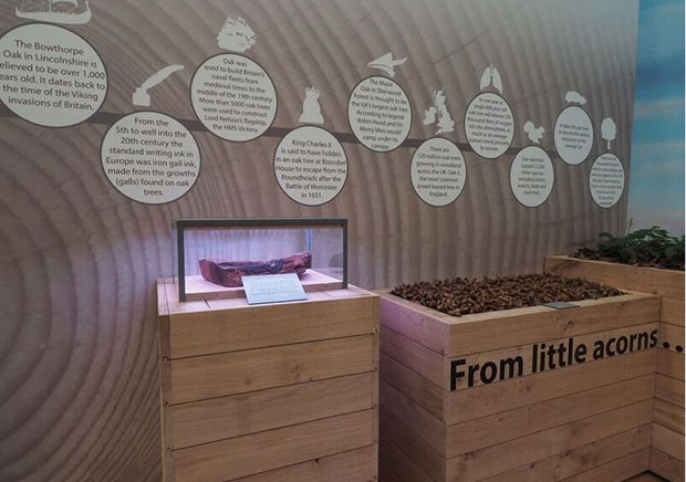 Display of oak from HMS Victory with a sign saying 'from little acorns ...'