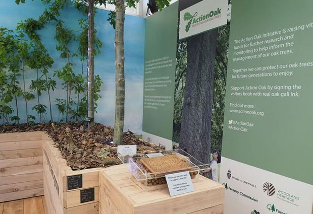 Visitor’s book with oak pen and ink set up in the garden below a sign for 'Action Oak'.