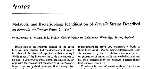 Paper by Margaret Meyer published during her time at CVL (WHO bulletin). The paper is entitled, 'Metabolic and Bacteriophage Inentification of Brucella Strains Described as Brucella melitensis from Cattle.'