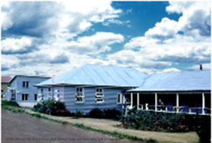 Photo of the veterinary school at the University of Queensland as Margaret Lucas would have known it in the 1950s. The buildings are completely blue. (courtesy of the University of Queensland Library).