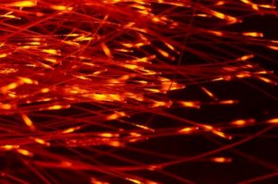 Macro image of fur fibres which appear to be glowing red.