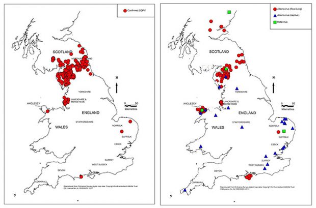 Two line maps of the United Kingdom for illustrative purposes showing a higher density of red circles across the Scottish/English border in the left and a lower density in the right. The image to the right has a large cluster of blue triangles across East Anglia.