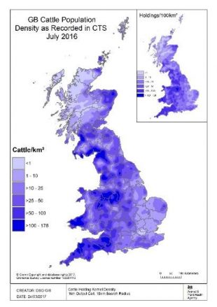 Image of the United Kingdom in different hues of blue to indicate the density of cattle per km squared, The map is entitled, 'GD cattle population density as recorded in CTS July 2016,'