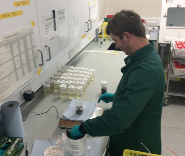 Scientist working on a test in the laboratory.