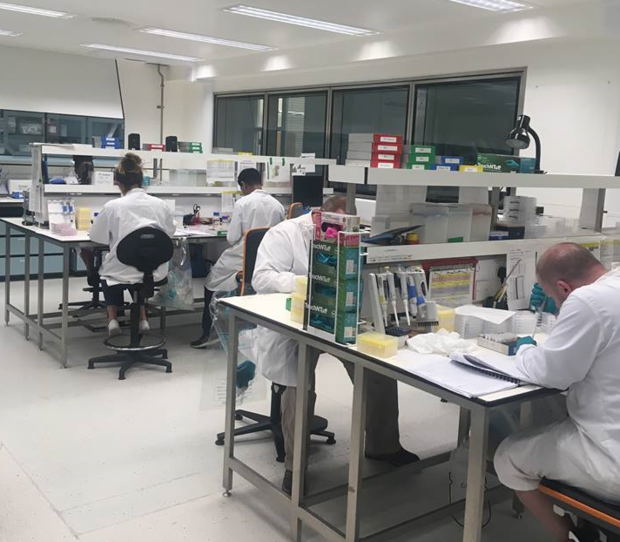 Scientists working at their lab benches