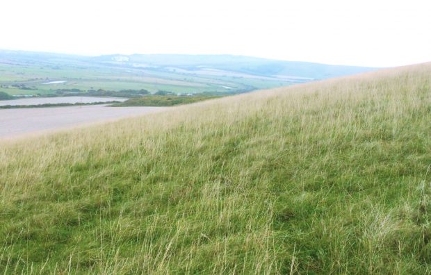Image showing a grassy field on the South Downs