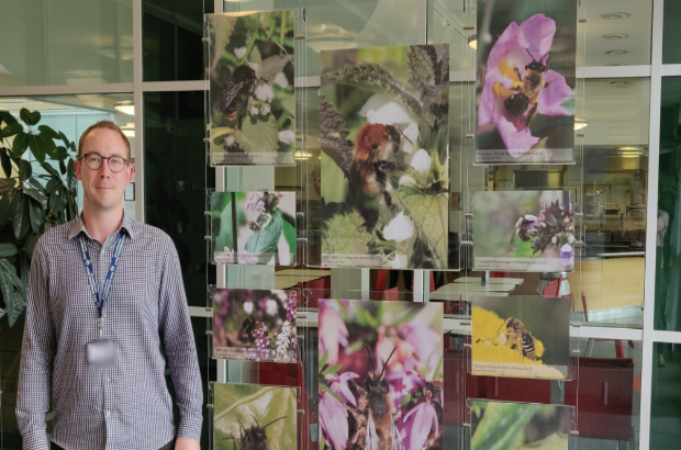 Arran Folly standing next to pictures of bees