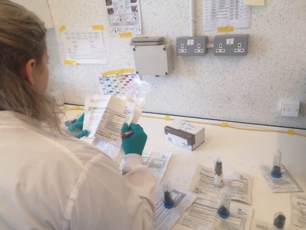 Back of a female lab technician holding paperwork with lab tests in front of her on a bench