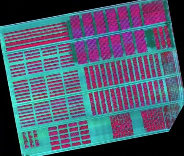 Aerial image of a field showing rows of crops in infra-red