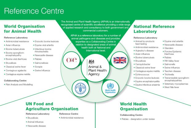 Reference Centre Diagram. The Animal and Plant Health Agency (APHA) is an internationally recognised centre of scientific excellence providing a wide range of applied research and consultancy to both government and commercial customers. APHA is a reference laboratory for a number of animal pathogens and diseases and provides expertise as a Collaborating Centre in relation to designated areas of animal health both at National and International level. World Organisation for Animal Health: Reference Laboratory: Antimicrobial resistance, Avian influenza, Bovine tuberculosis, Bovine spongiform encephalopathy, Bovine viral diarrhoea, Brucellosis, Classical swine fever, Contagious agalactia, Contagious equine metritis, Enzootic bovine leukosis, Equine viral arteritis, Infectious bovine rhinotracheitis, Newcastle disease, Rabies, Salmonellosis, Scrapie, Swine Influenza. Collaborating Centre: Risk Analysis and Modelling. National Reference Laboratory: Reference Laboratory: Animal by-products feed testing, Antimicrobial resistance, Aujeszky‘s disease, Avian influenza, Bovine tuberculosis, Brucellosis, Campylobacter, Classical swine fever, Contagious equine metritis, Echinococcus, Enzootic bovine leukosis, Equine encephalomyelitis, Equine infectious anaemia, Equine viral arteritis, Newcastle disease, Glanders, Porcine Epidemic Diarrhoea, Rabies, Rift Valley fever, Salmonella, Swine Influenza, Teschen disease, Trichinella, Transmissible spongiform encephalopathies, Veterinary mycoplasmas, West Nile fever. World Health Organisation: Collaborating Centre: Rabies - designation under review. UN Food and Agriculture Organisation: Reference Laboratory: Brucellosis, Animal Influenza, Newcastle disease. Reference Centre: Antimicrobial resistance. In the centre of the diagram are 5 logos for: OIE, Animal and Plant Health Agency, a Union Jack flag, FAO and World Health Organization.