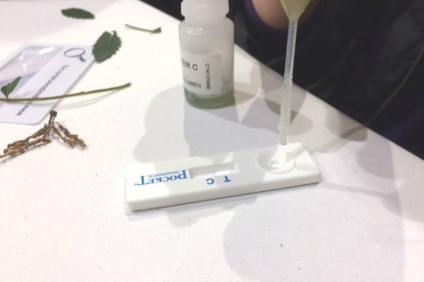 Image of a pipette dropping a clear liquid onto a white tray with a bottle and some leaf material in the background.