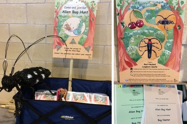 Image of a box containing pencils and activity packs with a sign above entitled 'Come and join our Alien Bug Hunt'