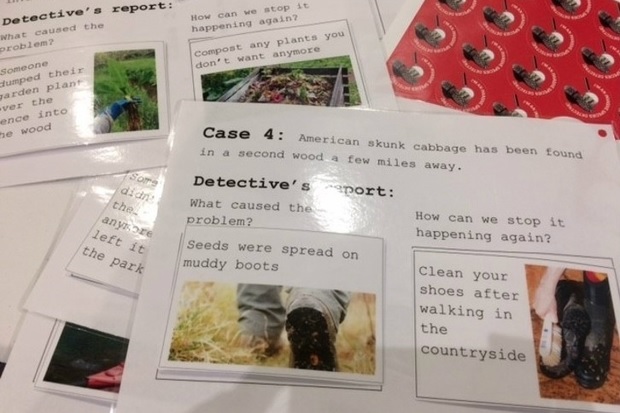 Image showing a pile of laminated cards each with a different 'case' and detective's report. The card showing on the image says, ' Case 4: American skunk cabbage has been found in a second wood a few miles away. Detective's report: What caused the problem? Seeds were spread on muddy boots. How can we stop it happening again? Clean your shoes after walking in the countryside.