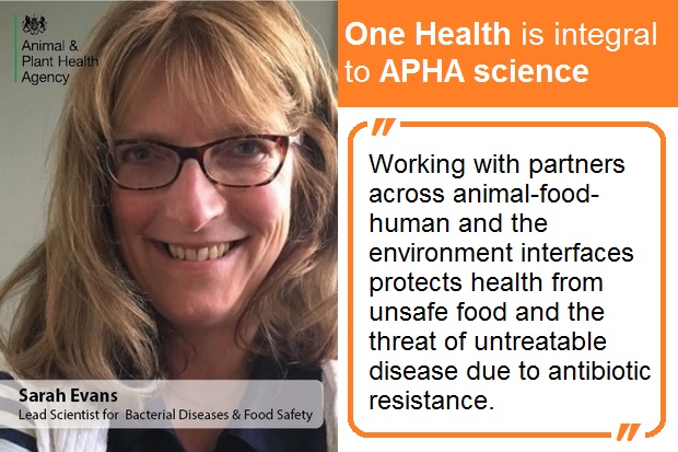 Image of Sarah Evans, Lead Scientist for Bacterial Diseases and Food Safety against text to the right-hand side which says, 'One Health is integral to APHA Science. Working with partners across animal-food-human and the environment interfaces protects health from unsafe food and the threat of untreatable disease due to antibiotic resistance.'