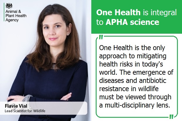 Image of Flavie Vial, Lead Scientist for Wildlife. The image is entitled 'One Health is integral to APHA science. Below is a quote from Flavie, "One Health is the only approach to mitigating health risks in today's world. The emergence of diseases in wildlife must be viewed through a multi-disciplinary lens."