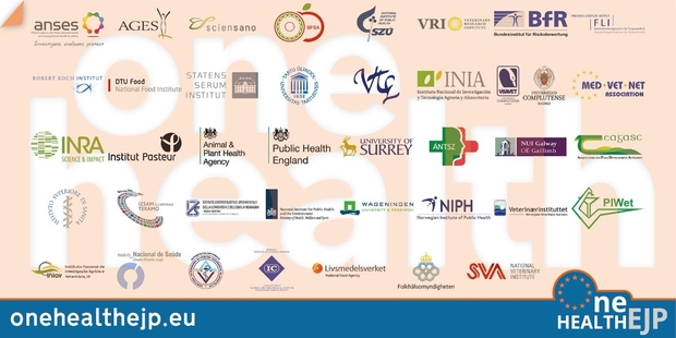 Image of the word 'One Health' with the logos of European institutes with the words 'onehealthejp.eu' and 'One Health EJP' on a blue banner below.