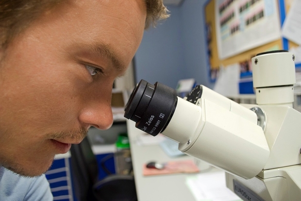 Image of a male scientist looking through a microscope