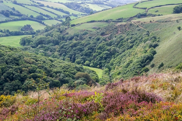 Image of an Exmoor landscape