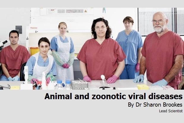 Image of two male and three females in blue and red scrubs standing in a laboratory, looking at the camera. Text reads: "Animal and zoonotic viral diseases, By Dr Sharon Brookes, Lead Scientist."