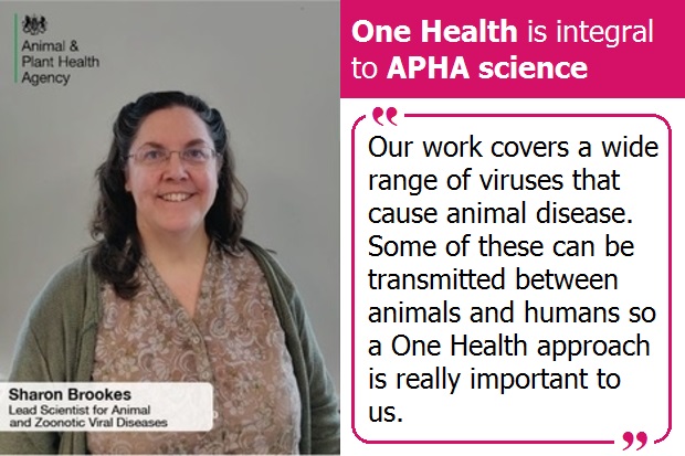 Image of Sharon Brookes with the title One Health is integral to APHA Science. The quote on the image says, "Our work covers a wide range of viruses that cause animal disease. Some of these can be transmitted between animals and humans so a One Health approach is really important to us."