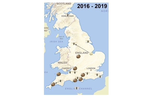 Map of the UK showing the locations of Asian hornet nests and sightings. Has the dates 2016 - 2019 at the top.