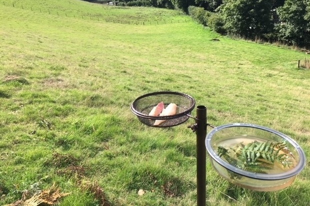 Image of a seeding station with two plates in a field