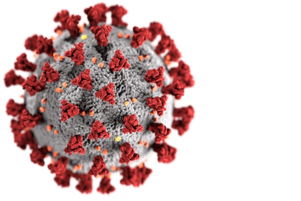 Illustration of a coronavirus virion - a circular sphere with red protrusions around it.