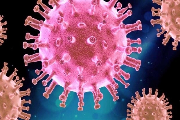 Image of Coronavirus