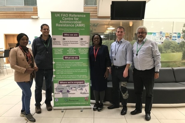 Image of two ladies and three gentlemen standing in front of a pop-up banner entitled 'Centre for Antimicrobial Resistance (AMR)'