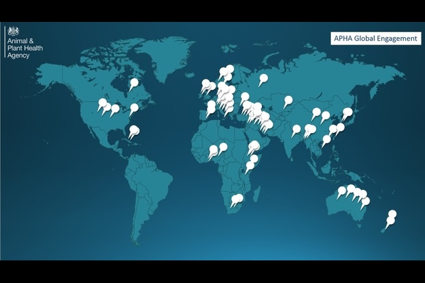 Map of the world with several green pins indicating where APHA has global interactions.