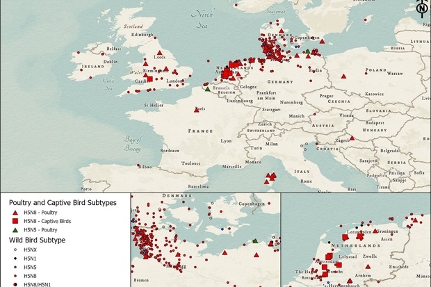 Image of a map of Europe indicating incidents of Avian influenza in poultry and captive bird species and wild birds. Clusters can be seen across Scandinavia and some in the UK