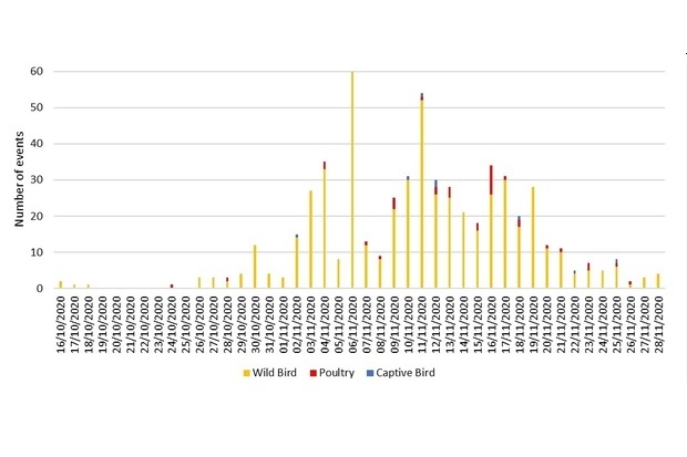 Image of a bar graph with number of events on the y axis and dates on the x axis. The highest number of events appears on 06.11.2020 with the most instances in wild birds and then gradually declines.