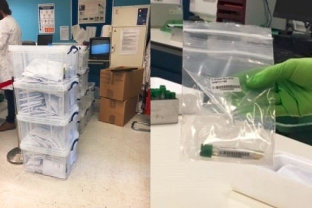 Split image showing a stack of four see-through plastic tubs containing envelope packs on the left and on the right a gloved hand is shown holding a see-though plastic envelope containing a COVID-19 sample in a plastic vial.