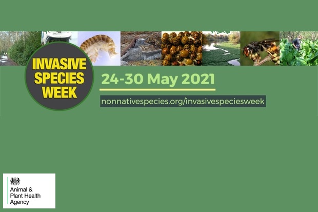 Feature image for Invasive Species Week 24th-30th May 2021. nonnativespecies.org/invasivespeciesweek with the APHA logo showing at the bottom.