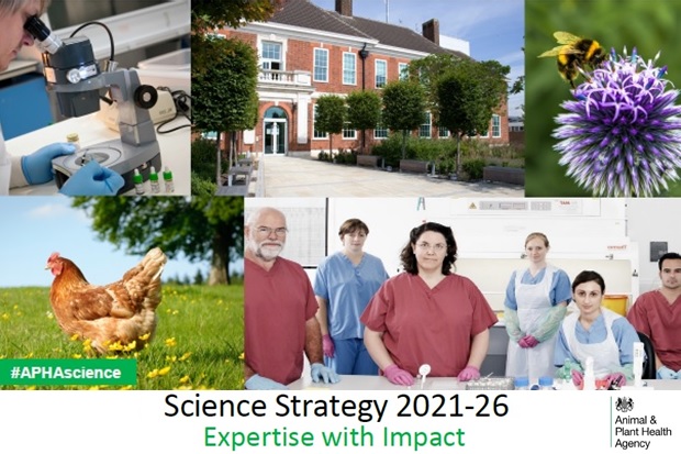 Image showing: a female scientist looking into a microscope, the front of the APHA Weybridge headquarters, a bee on a purple flower, a brown chicken in a field and a group photo of two male and four female scientists looking at the camera in a laboratory setting. The words 'Science Strategy 2021-26 Expertise with Impact' is written below with the APHA logo in the bottom right-hand corner.