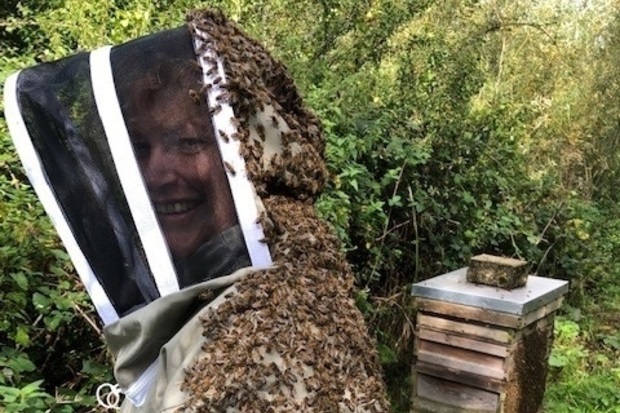 Image of Seasonal Bee Inspector, Avril Earl. She is standing with a bee suit on and is covered in bees. A bee hive stands in the background.