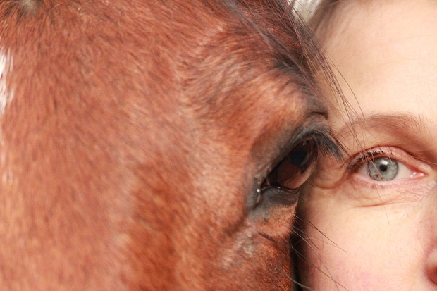 Image of a horse's head next to a human head, both looking straight into the camera.