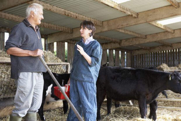 Vet talking to farmer in a barn with cows in the background