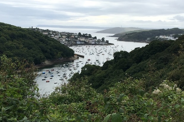 Image of leafy hillsides over a body of water with boats