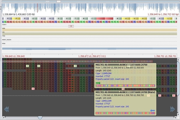 Image showing a computer programme running a DNA sequence. It shows the bases in colour coded boxes.