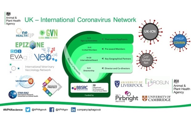 Image containing logos in the UK international coronavirus network. The image is footed with #APHAscience, the Twitter logo next to @APHAgovuk, the Facebook logo next to @APHAgov and the LinkedIn logo next to company/aphagovuk. Logos are: Animal and Plant Health Agency, One Health EJP, Global Virus Network, Epizone, EVAg, VEO, International Veterinary Vaccinology Network, VetBioNet, STAR-IDAZ: International Research Consortium on Animal Heath, PROTECT, UK-ICN, OHEJP COVRIN, CoV Global Net, University of Liverpool, ROSLIN, The Pirbright Institute and University of Cambridge. Funded by BBSRC and Department for Environment, Food and Rural Affairs.